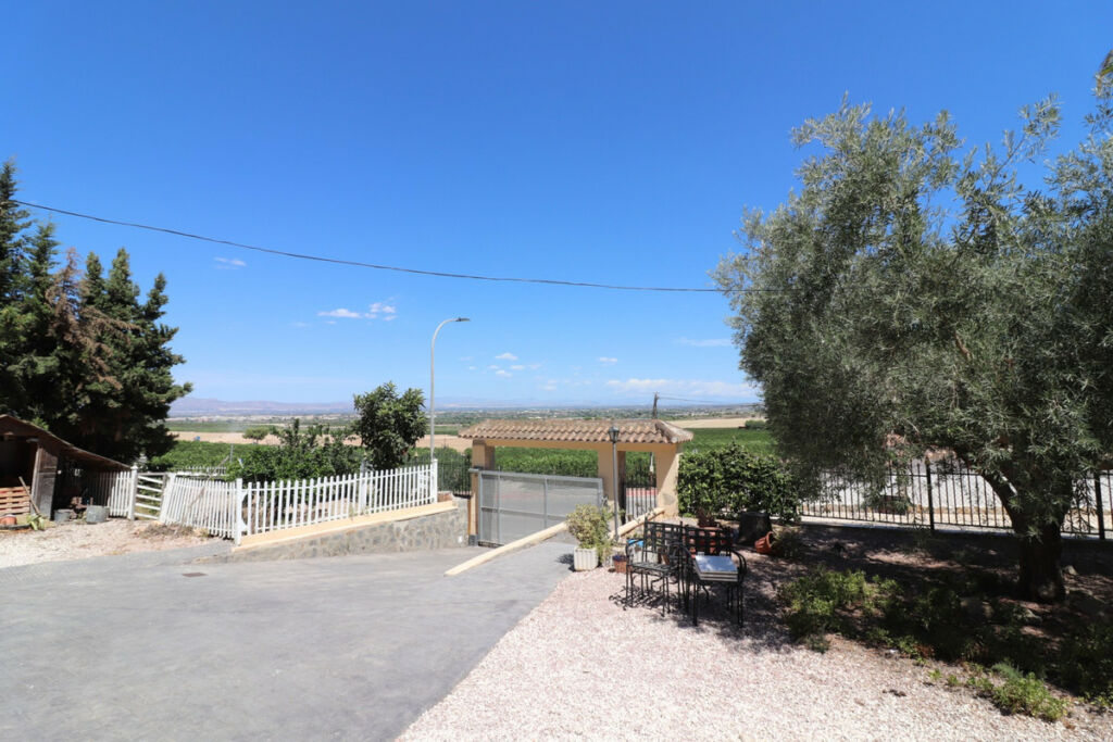 Detached Villa Algorfa Alicante - image 38