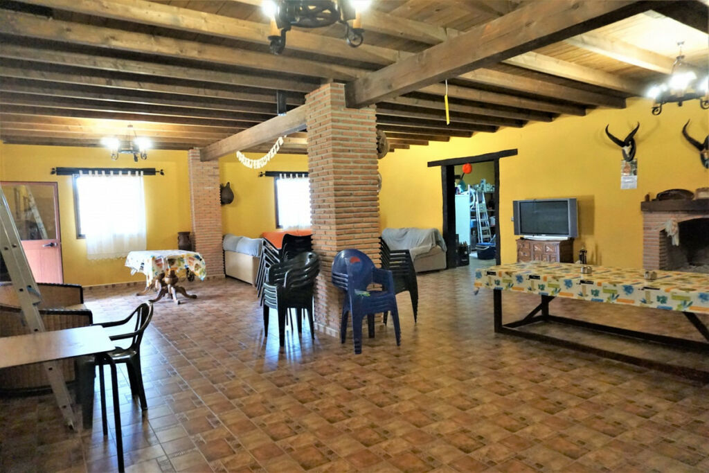 Detached Villa Sayalonga Málaga - image 38