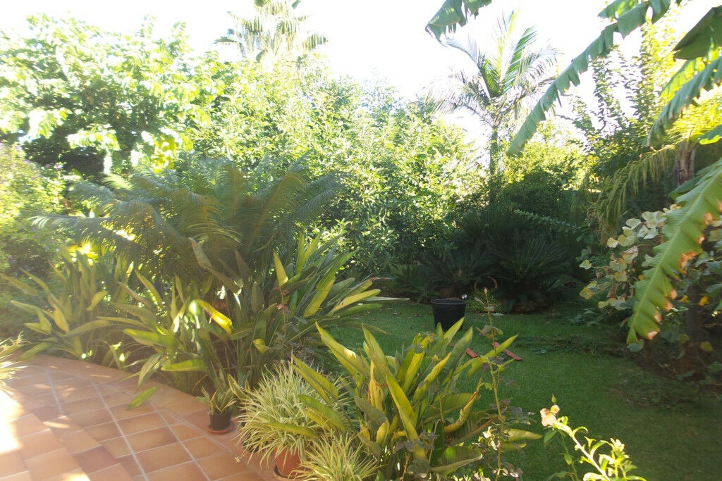 Detached Villa Alhaurín de la Torre Málaga - image 39