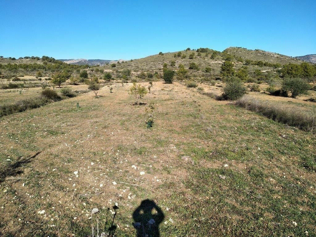 Residential Plot Relleu Alicante - image 39