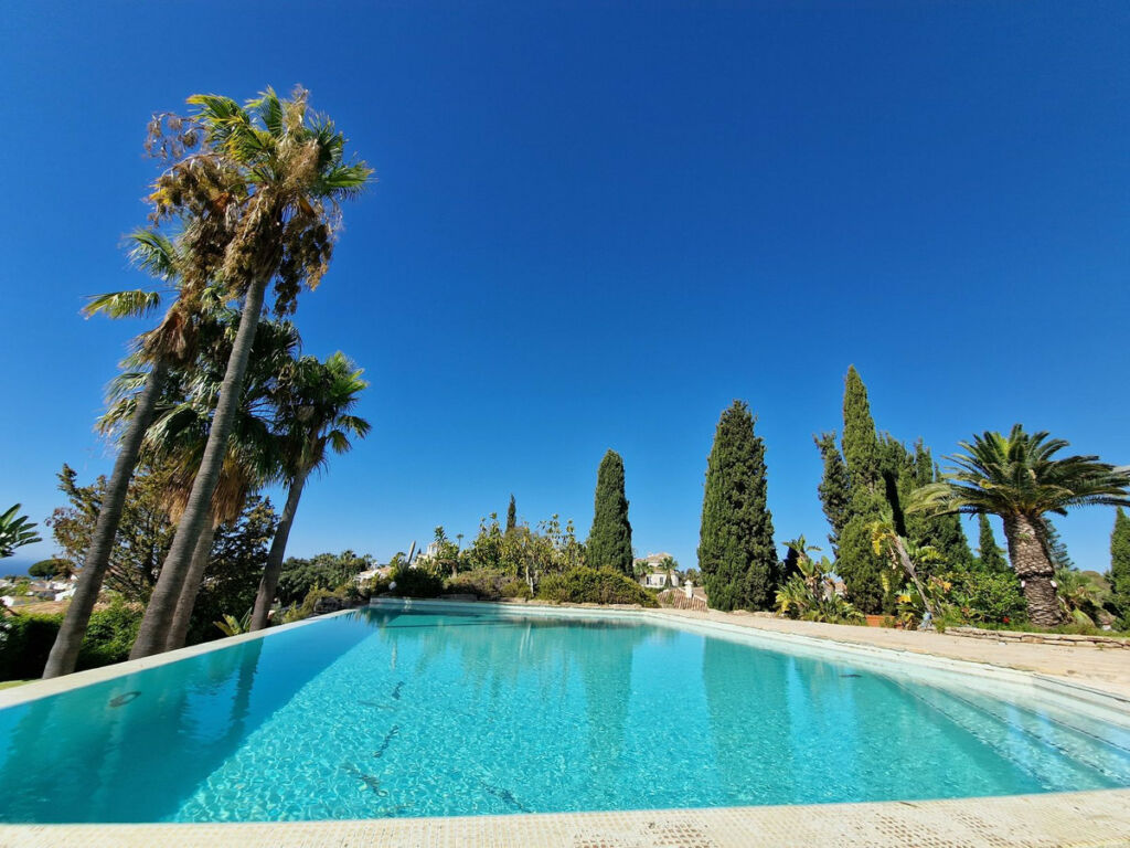 Detached Villa Calahonda Málaga - image 39