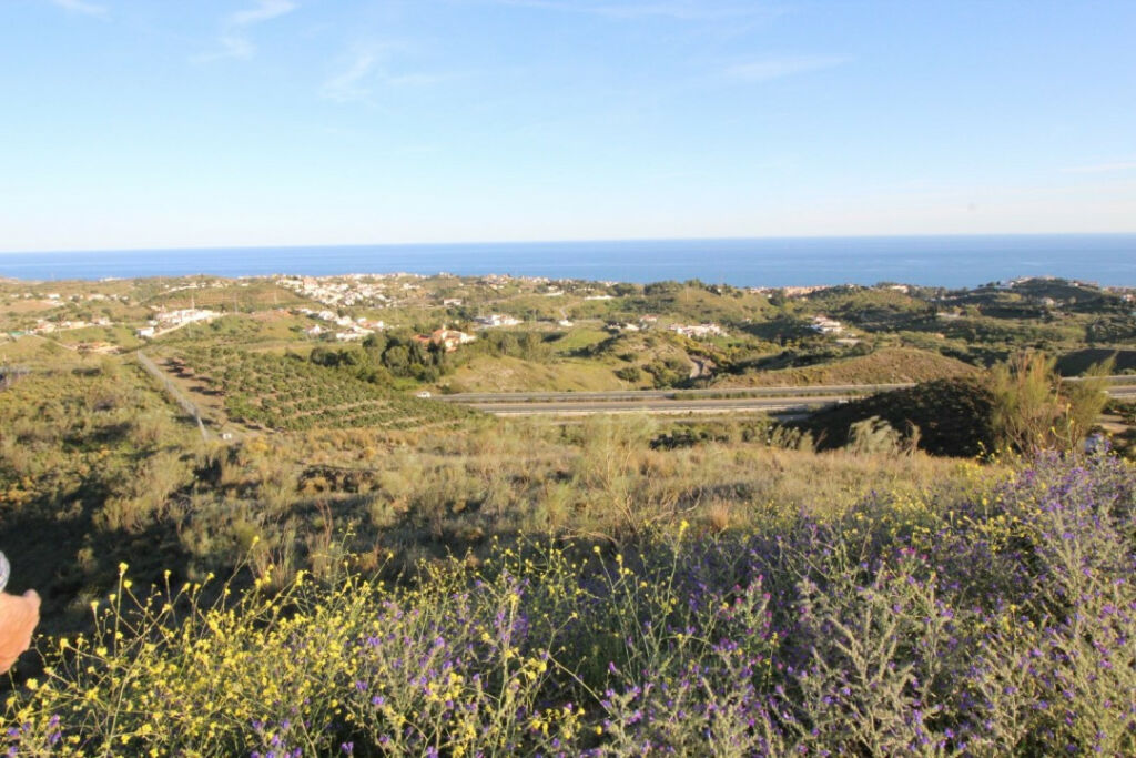 Land Benajarafe Málaga - image 4