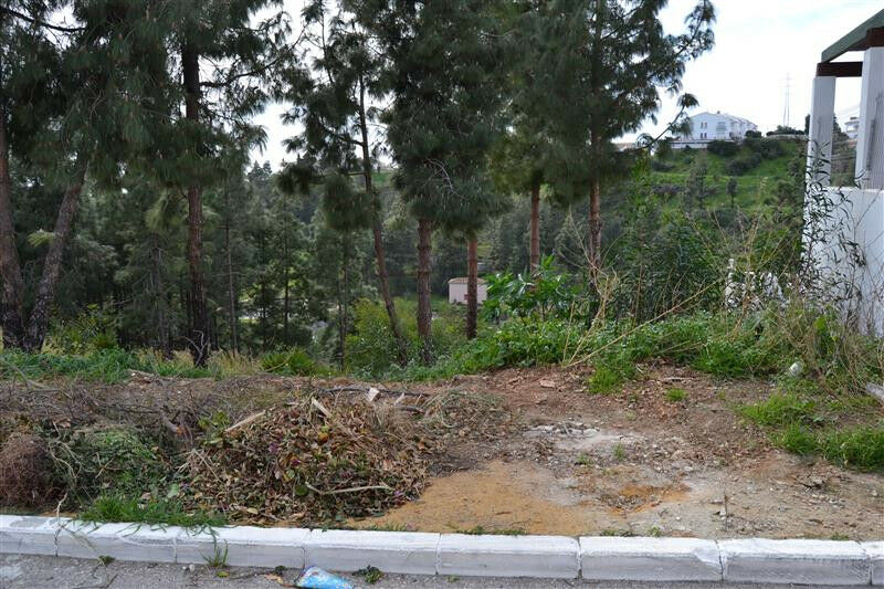 Residential Plot El Chaparral Málaga - image 4