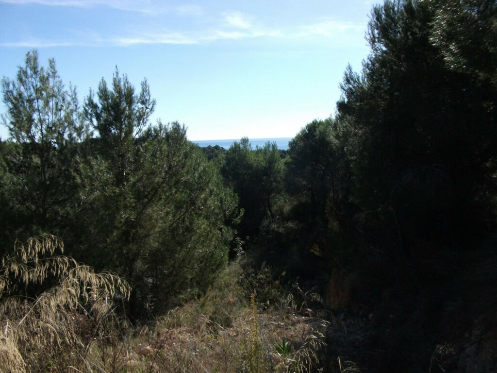 Land Altea Alicante - image 4