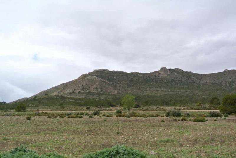 Land Yecla Murcia - image 4