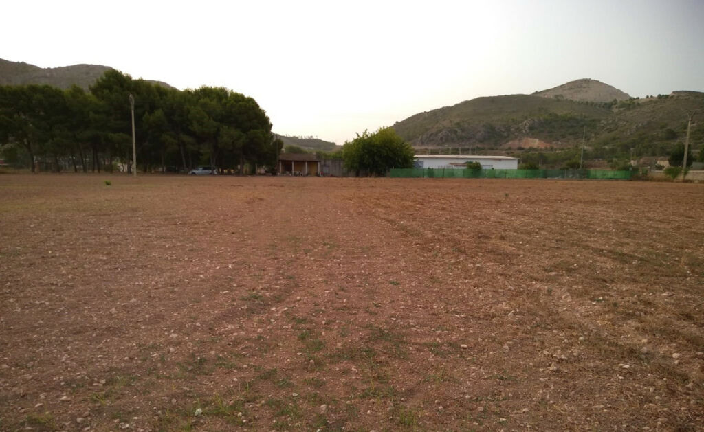 Land Aspe Alicante - image 4