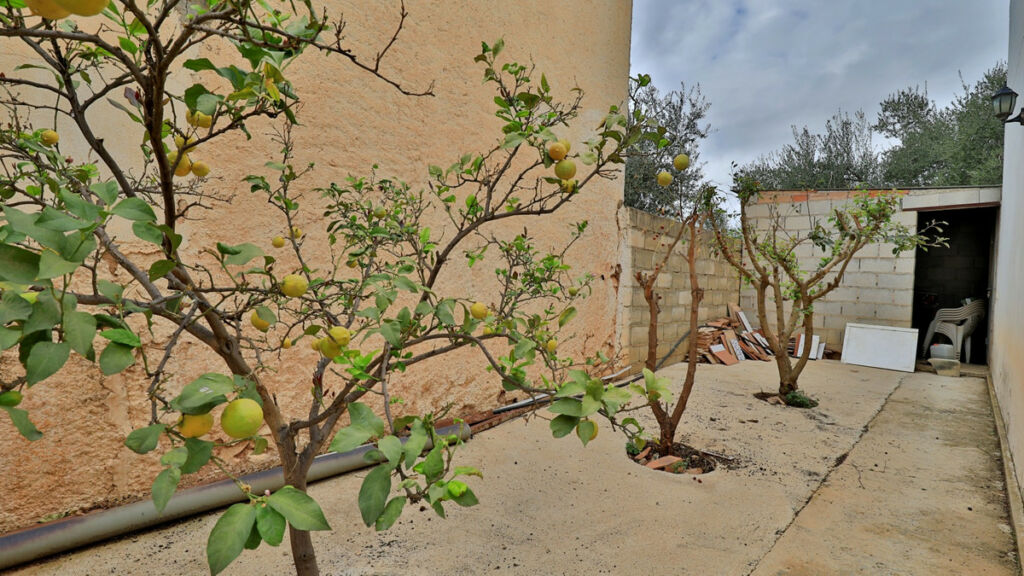 Finca - Cortijo Alfarnatejo Málaga - image 4