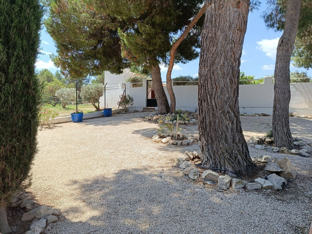 Finca - Cortijo Caravaca de la Cruz Murcia - image 3