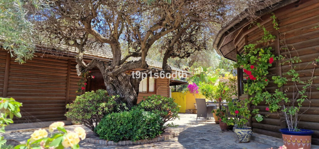 Detached Villa Monda Málaga - image 4