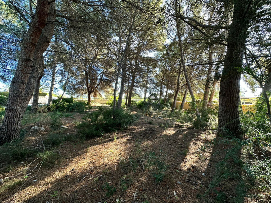 Land Calpe Alicante - image 4