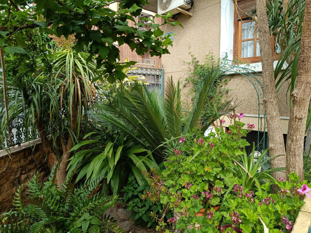 Detached Villa Almoradi Alicante - image 4