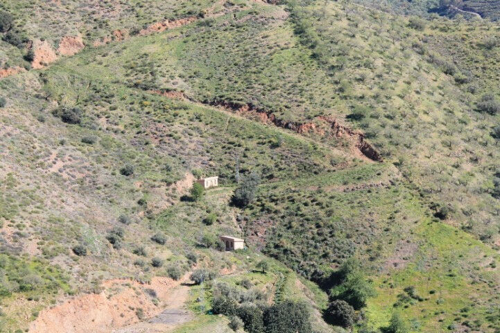 Land El Borge Málaga - image 4