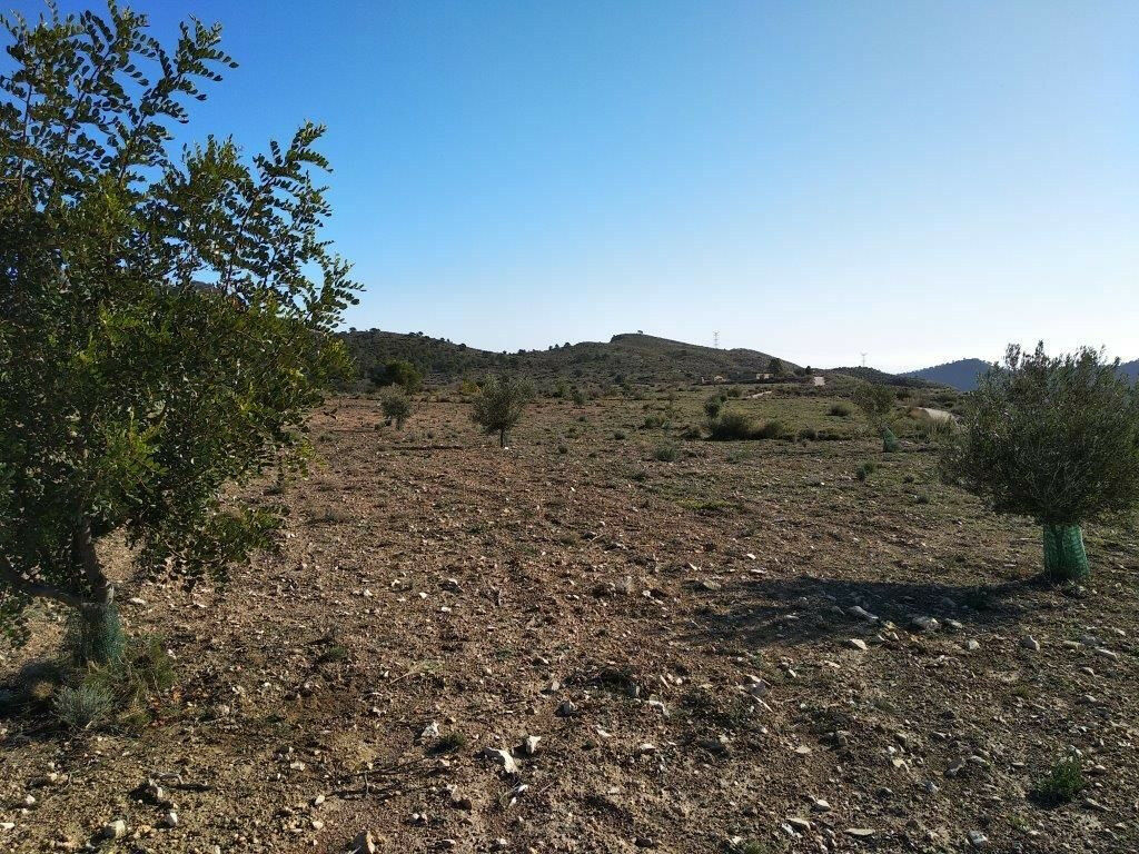 Residential Plot Relleu Alicante - image 4