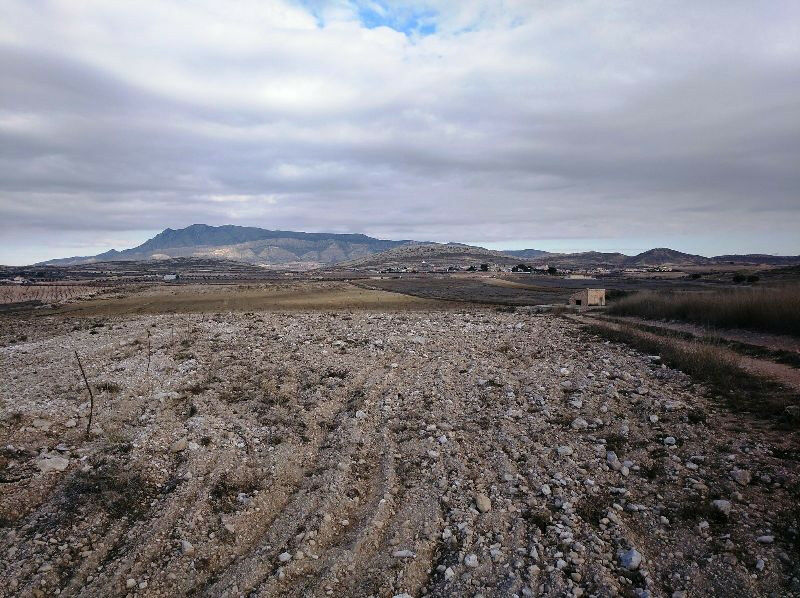 Land Torre Del Rico Murcia - image 4