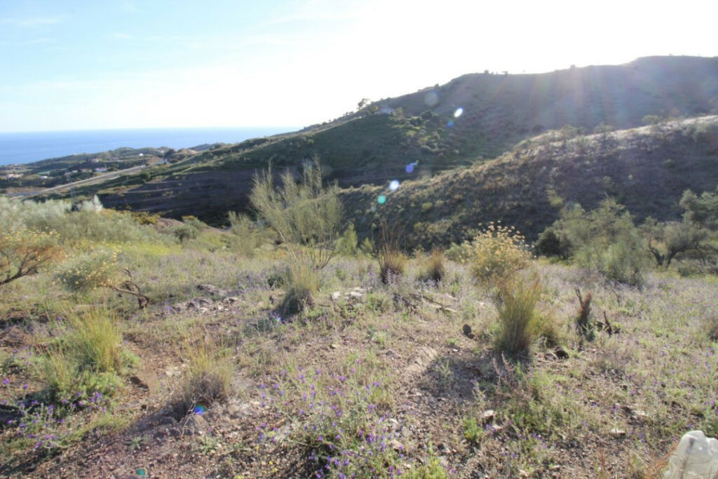 Land Benajarafe Málaga - image 3