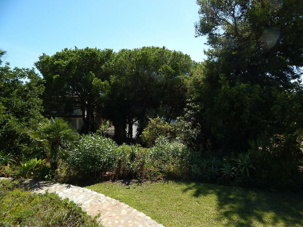 Residential Plot Marbella Málaga - image 4