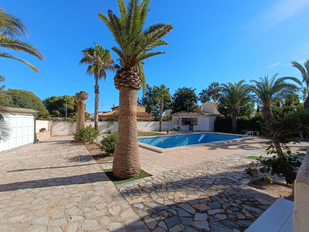 Detached Villa La Zenia Alicante - image 4