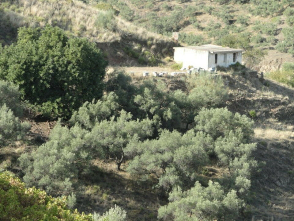 Land Cómpeta Málaga - image 4