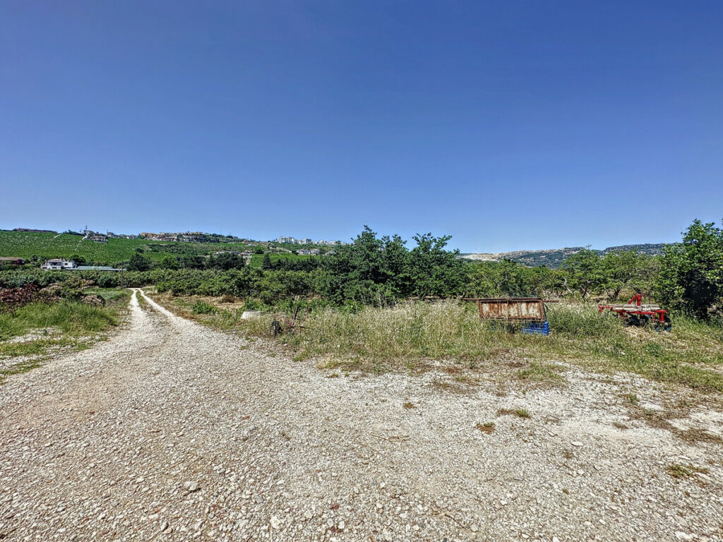 Farm Doña Julia Málaga - image 4
