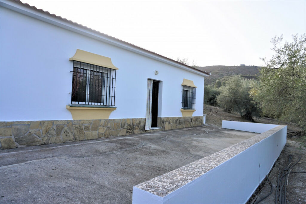 Finca - Cortijo Alcaucín Málaga - image 4
