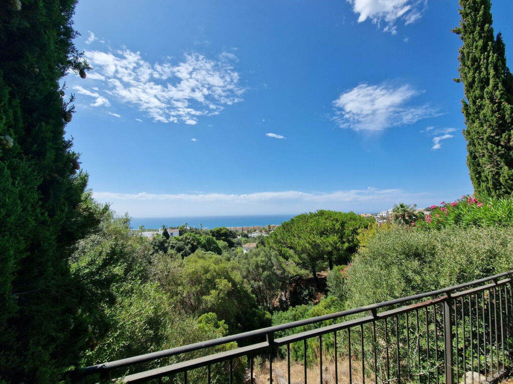 Detached Villa Calahonda Málaga - image 40