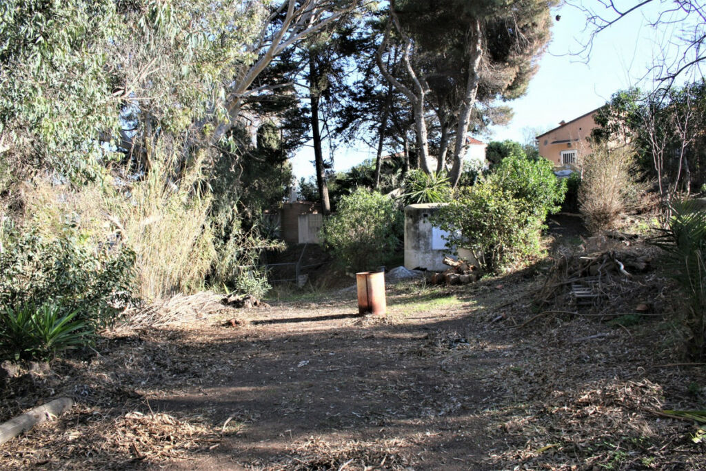 Detached Villa Benajarafe Málaga - image 38