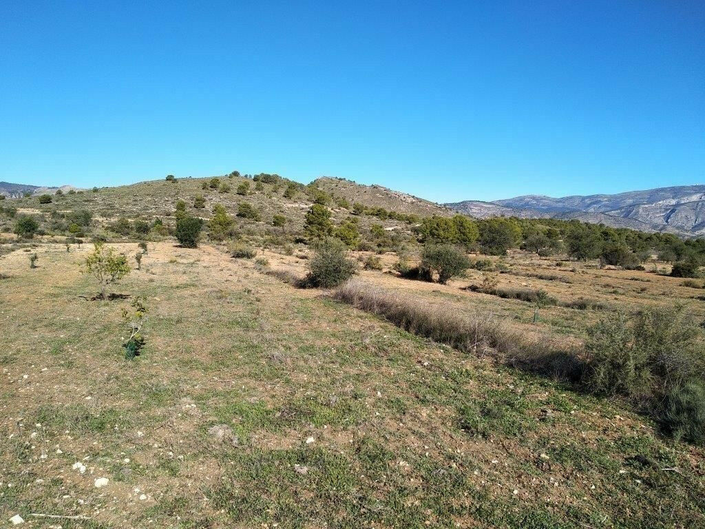 Residential Plot Relleu Alicante - image 40