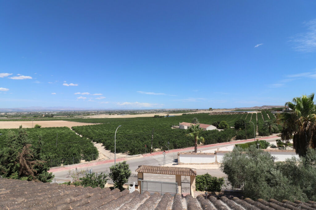 Detached Villa Algorfa Alicante - image 41