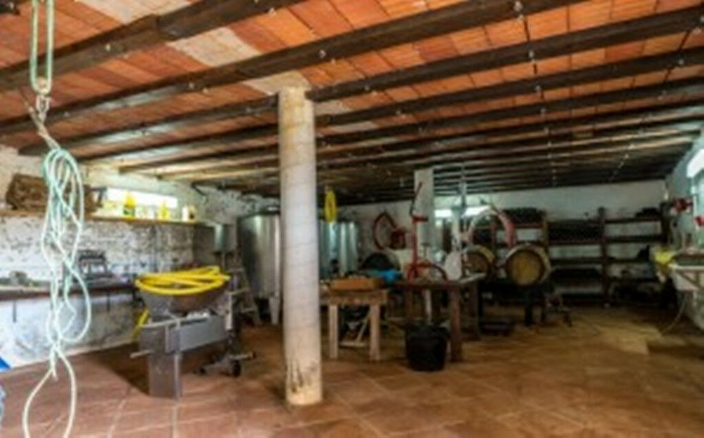 Finca - Cortijo Alora Málaga - image 43