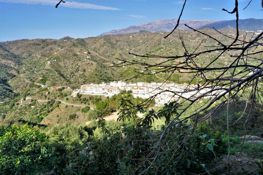 Detached Villa Sayalonga Málaga - image 45