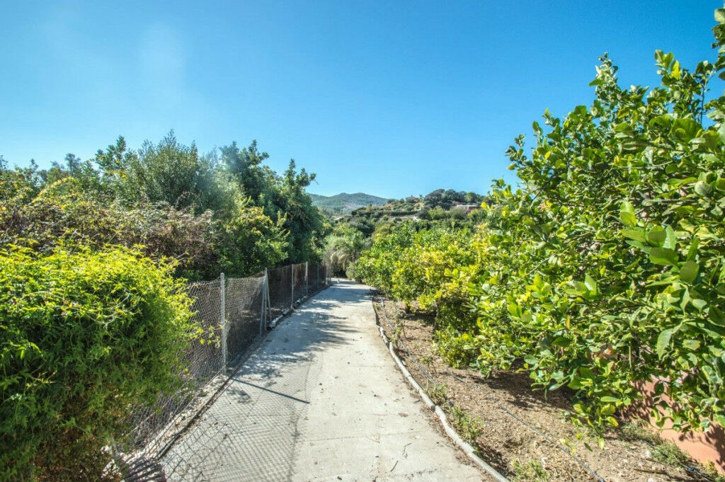 Finca - Cortijo Coín Málaga - image 45
