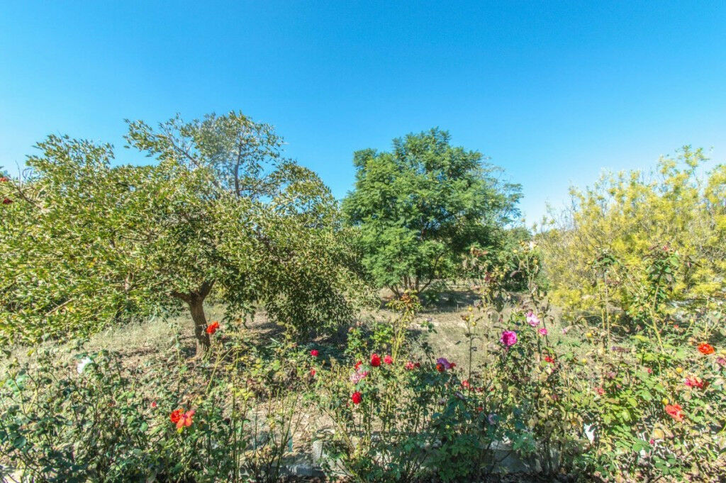 Finca - Cortijo Coín Málaga - image 46