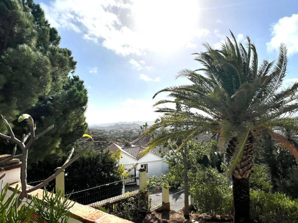 Detached Villa Mijas Málaga - image 46