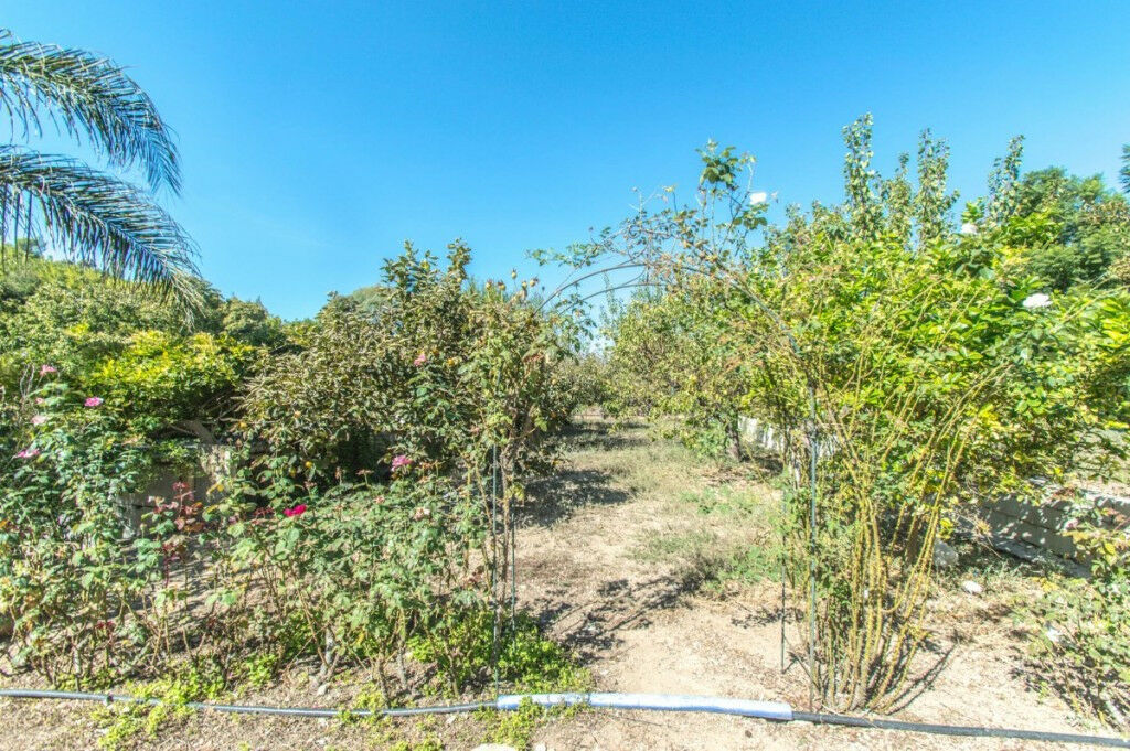 Finca - Cortijo Coín Málaga - image 47
