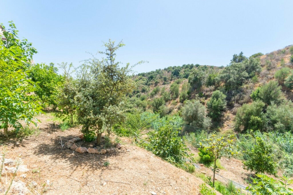 Detached Villa Mijas Costa Málaga - image 47