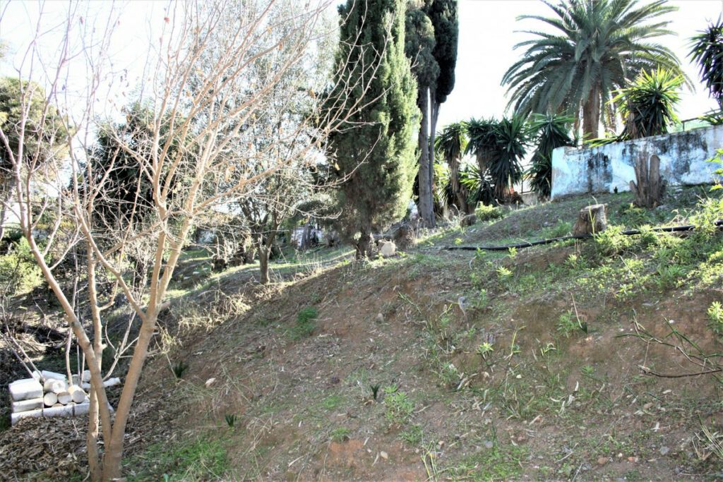 Detached Villa Benajarafe Málaga - image 47