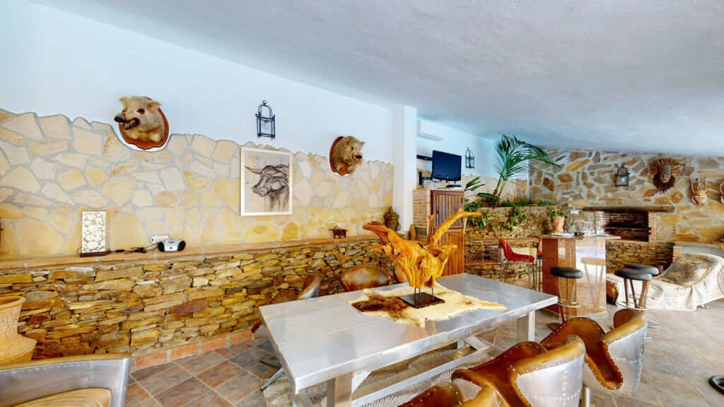 Detached Villa Sayalonga Málaga - image 49