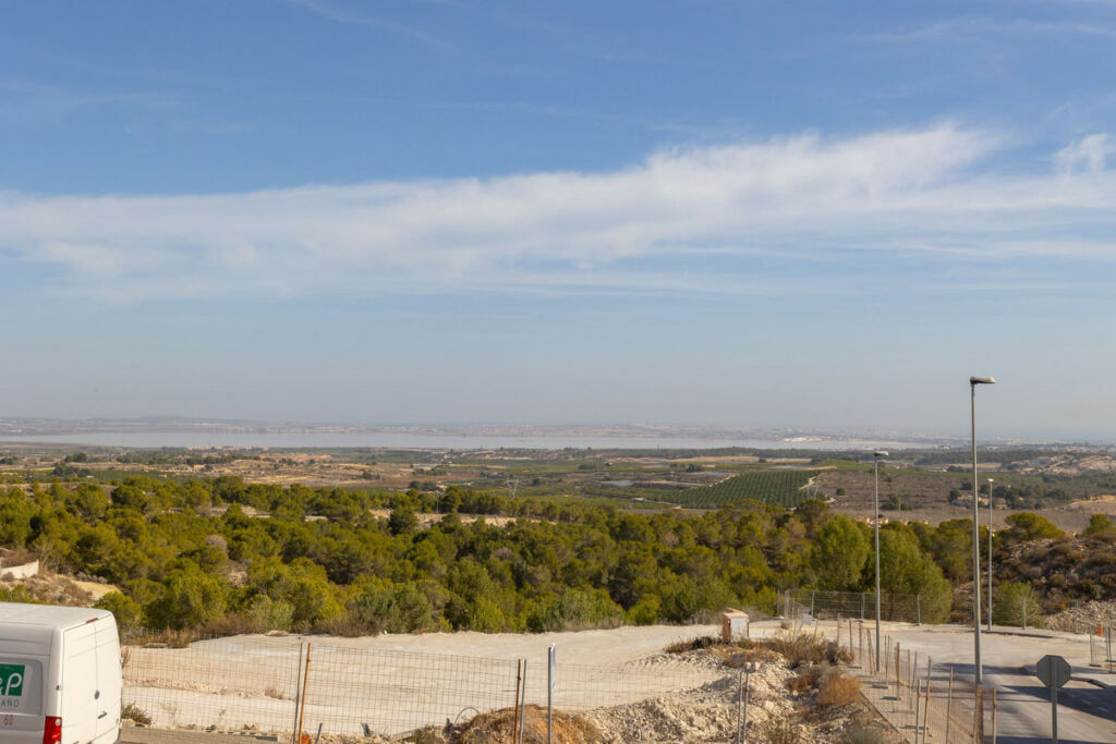 Detached Villa San Miguel de Salinas Alicante - image 49