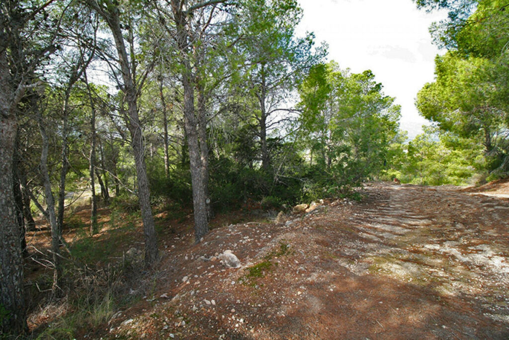 Land Altea Alicante - image 5
