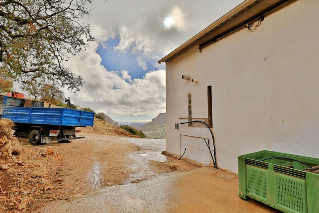 Finca - Cortijo Alfarnatejo Málaga - image 5