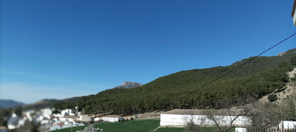 Detached Villa Ronda Málaga - image 5
