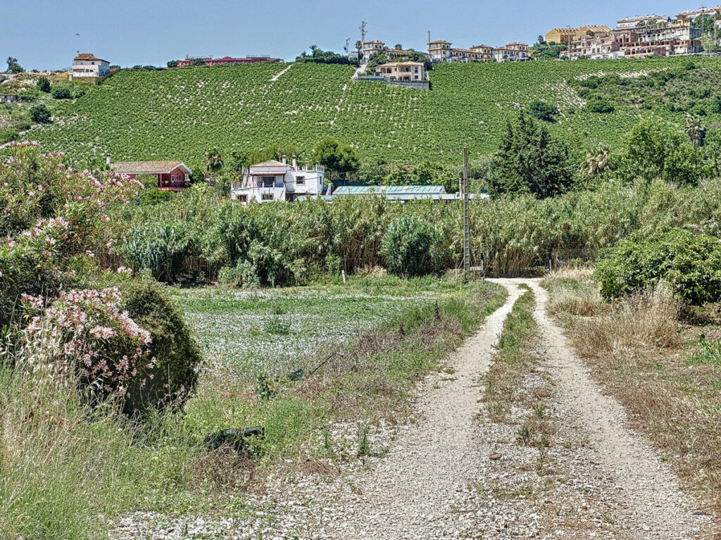Farm Doña Julia Málaga - image 5