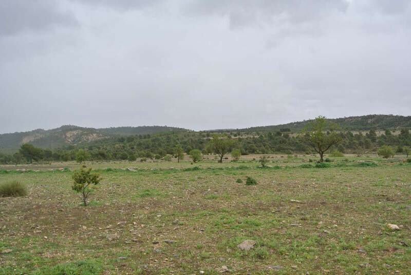 Land Yecla Murcia - image 5
