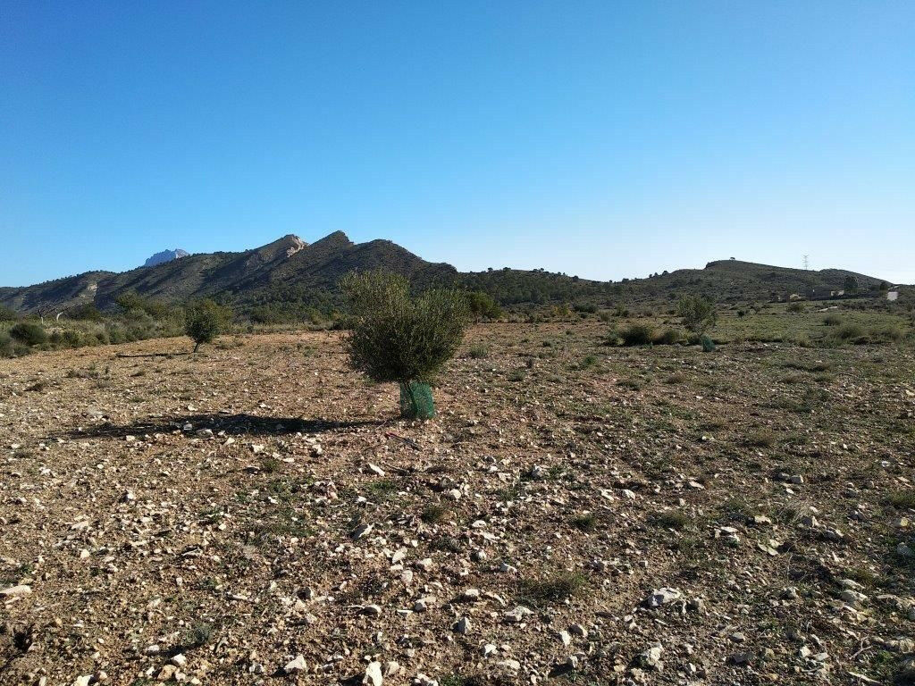 Residential Plot Relleu Alicante - image 5