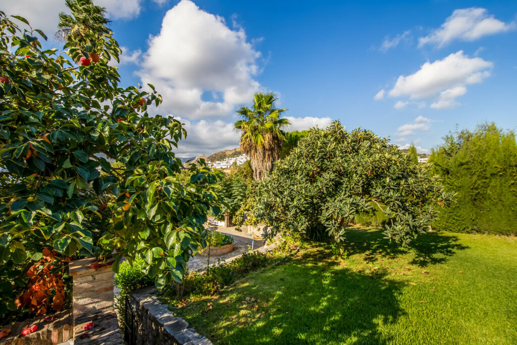 Detached Villa Jimena de la Frontera Cádiz - image 5