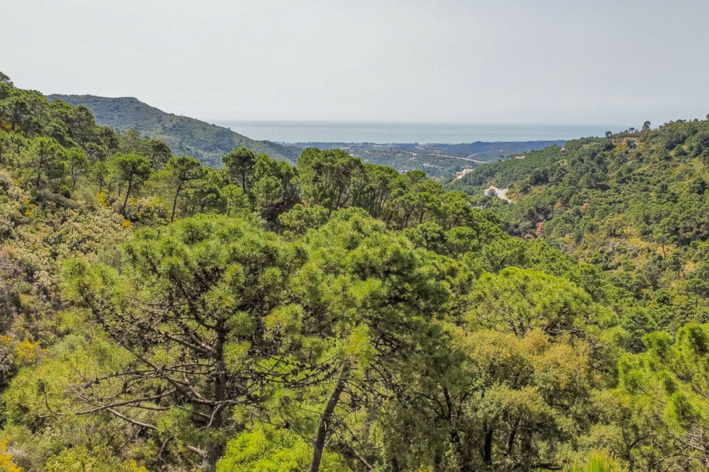 Land Benahavís Málaga - image 5