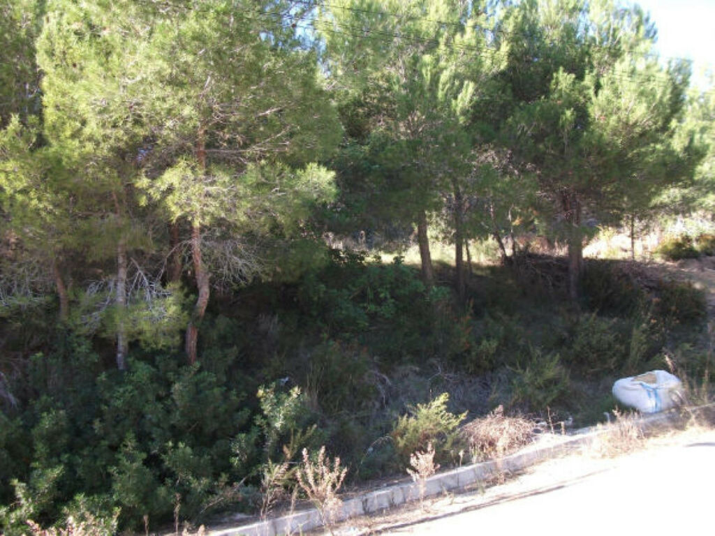 Land Altea Alicante - image 5