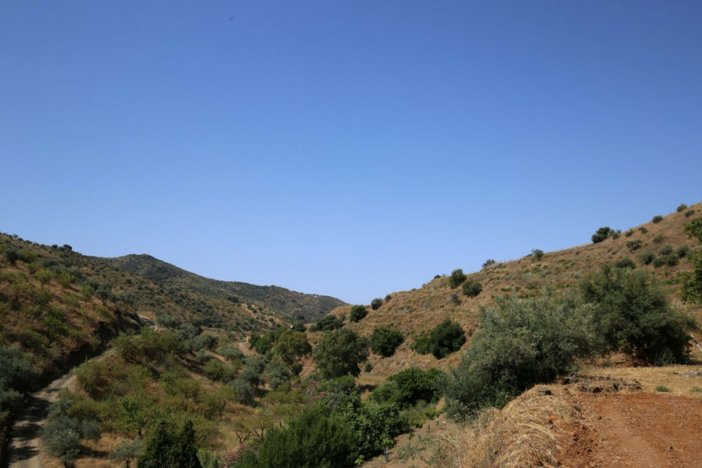 Land Totalán Málaga - image 5
