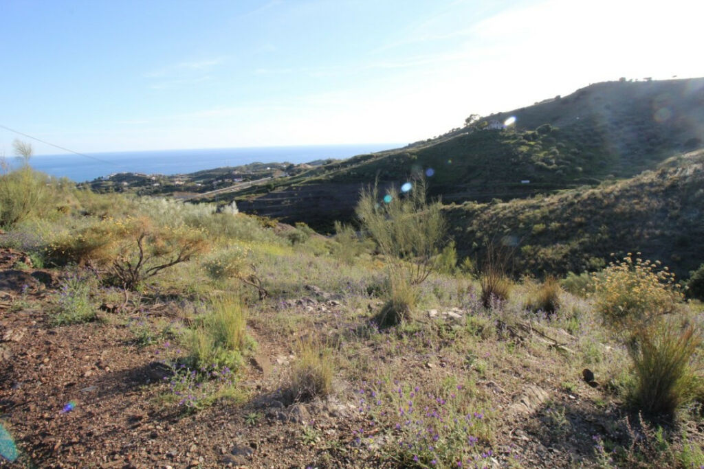 Land Benajarafe Málaga - image 4