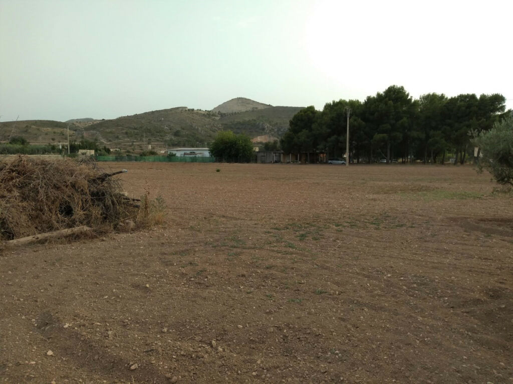 Land Aspe Alicante - image 5